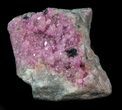 Gemmy, Pink Sphaerocobaltite Crystals - Morocco #34931-1